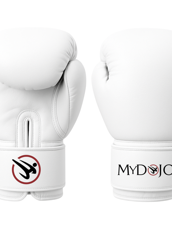 Kickboxing Gloves
